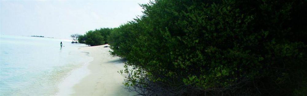 Maldives Isle Beach Inn מראה חיצוני תמונה