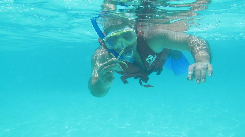 Maldives Isle Beach Inn מראה חיצוני תמונה