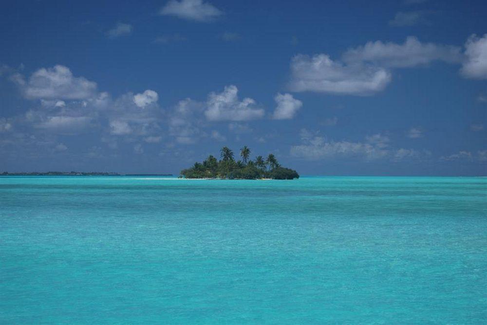 Maldives Isle Beach Inn מראה חיצוני תמונה